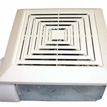 EXTR2